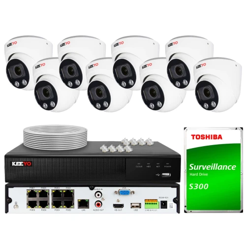 Zestaw do monitoringu składający się z sześciu kamer kopułkowych, rejestratora oraz dysku twardego Toshiba S300. W zestawie znajdują się również kable i złącza niezbędne do instalacji.